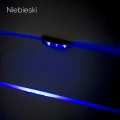 nieb.jpg
