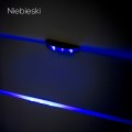 nieb.jpg