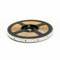 Taśma LED CCT 8 mm 2835-240D CW WW IP20 1200 LED  9,6W/m rolka 5m