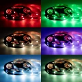 8 MM 5050-30D RGB IP20 150 LED 5M 7.2 WM kolory.webp