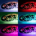 8 MM 5050-60D RGB IP20 300LED 5M 14.4 W M kolory.webp