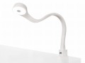 flexi r biała 2.jpg